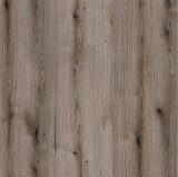 K366 - dub Fossil Evoke