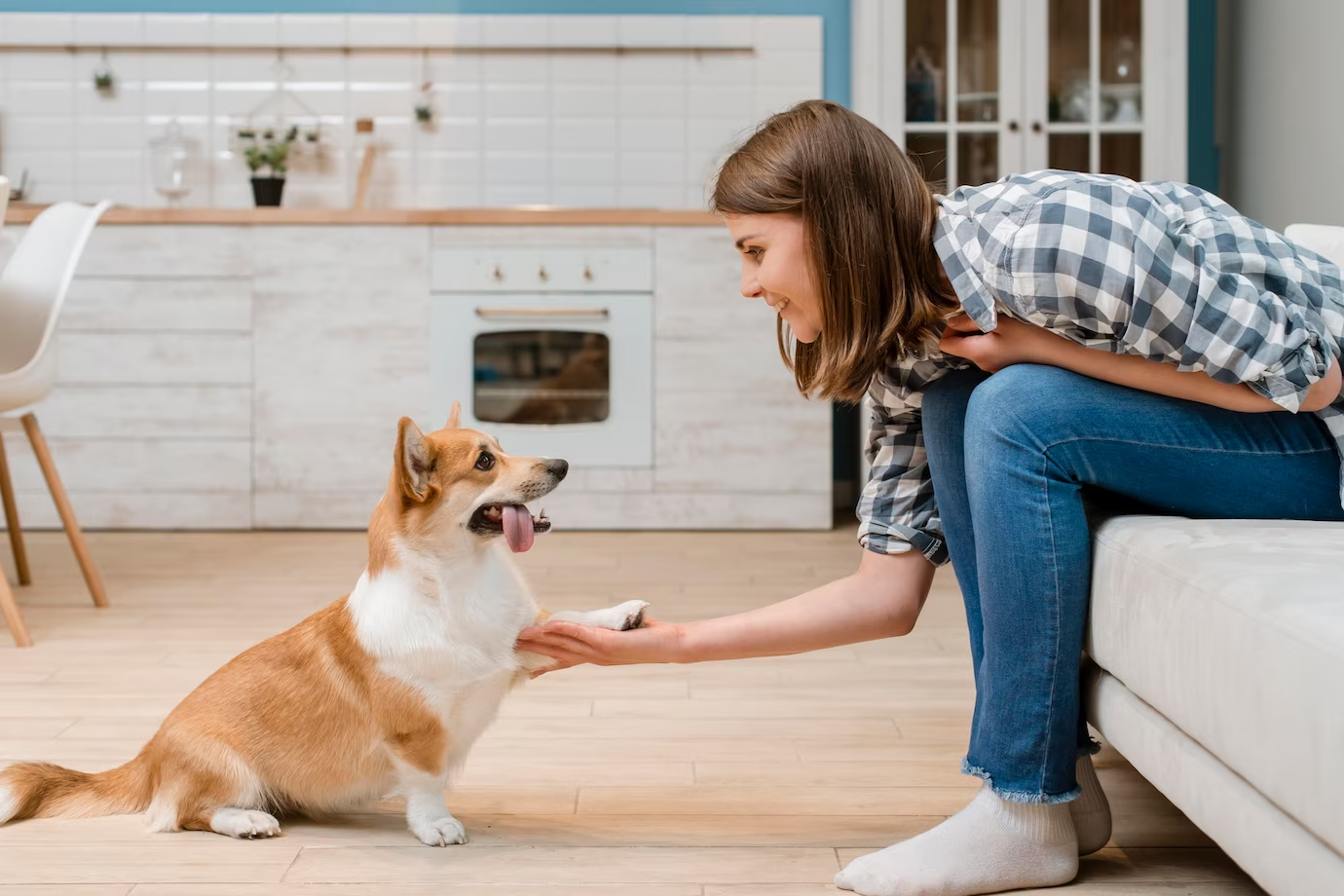 pes podáva labku svojej majiteľke v obývačke